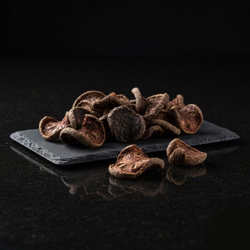 Kudampuli